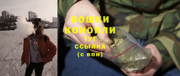 сатива Магас