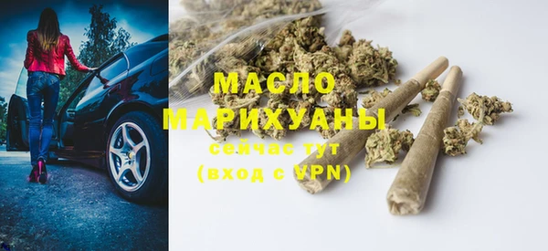 индика Пересвет
