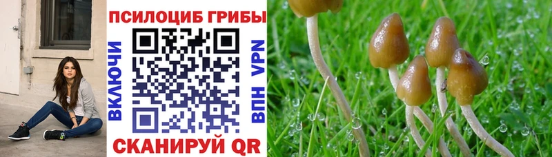 Псилоцибиновые грибы мицелий mega ССЫЛКА Нурлат