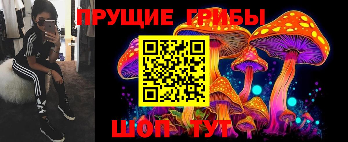 Псилоцибиновые грибы Magic Shrooms  Нурлат 