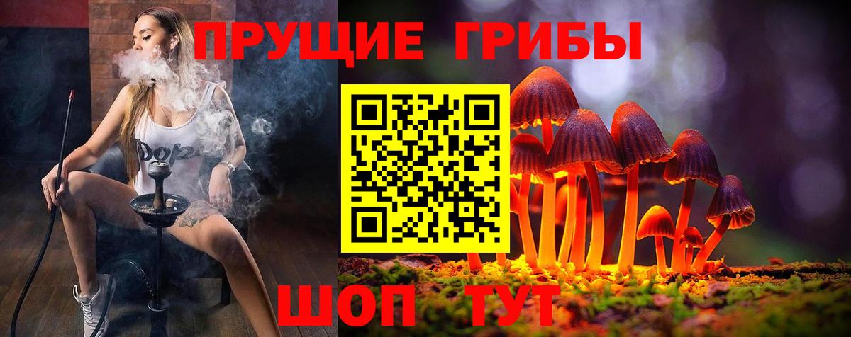 Галлюциногенные грибы Magic Shrooms  Вход с VPN  Нурлат  Галлюциногенные грибы Cubensis 